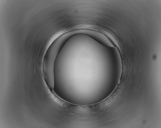 X0000091561050200708171321