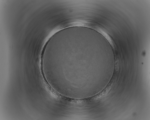 X0000091561051200708171321