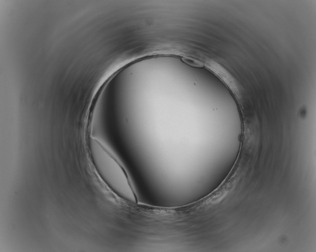 X0000091561052200708171322