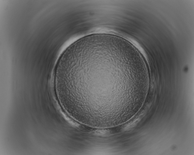 X0000091561053200708171322