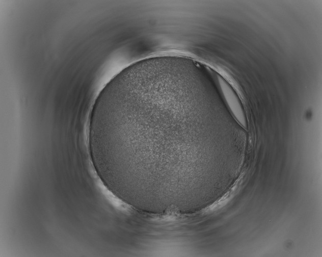 X0000091561054200708171322