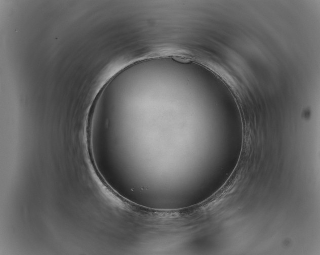 X0000091561055200708171322