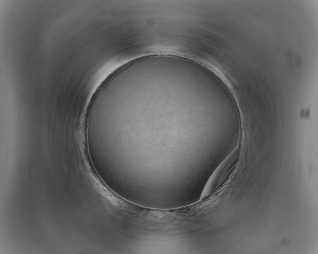 X0000091561056200708171322