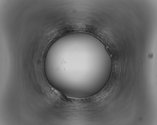 X0000091561057200708171321