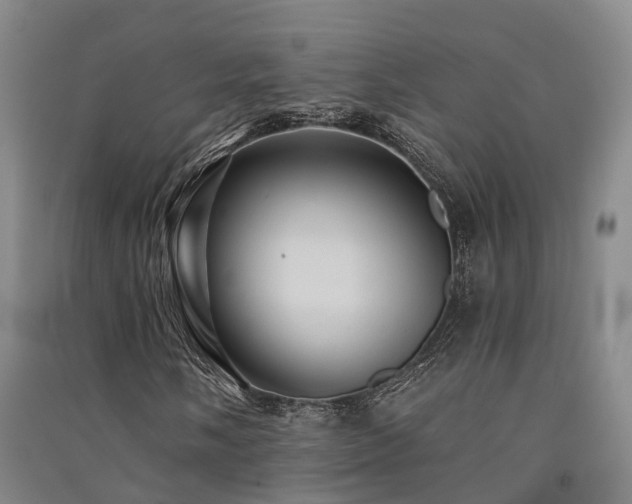 X0000091561058200708171321