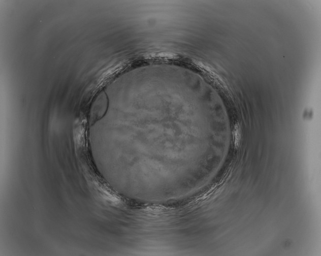 X0000091561059200708171321