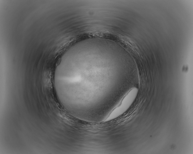 X0000091561060200708171321