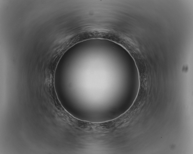 X0000091561061200708171321