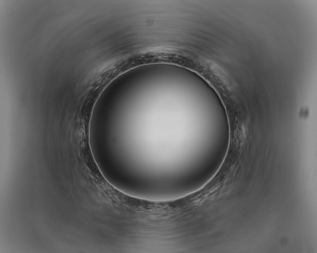 X0000091561062200708171321