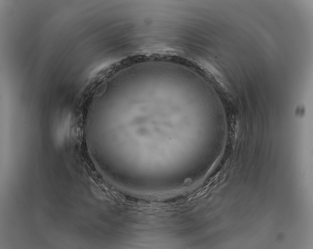 X0000091561063200708171321