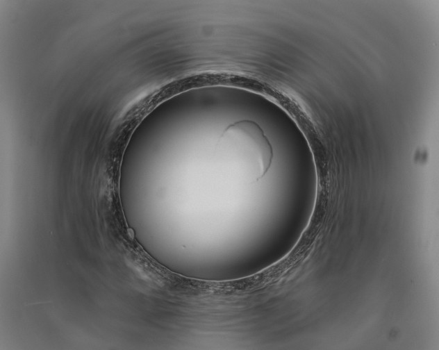 X0000091561064200708171321