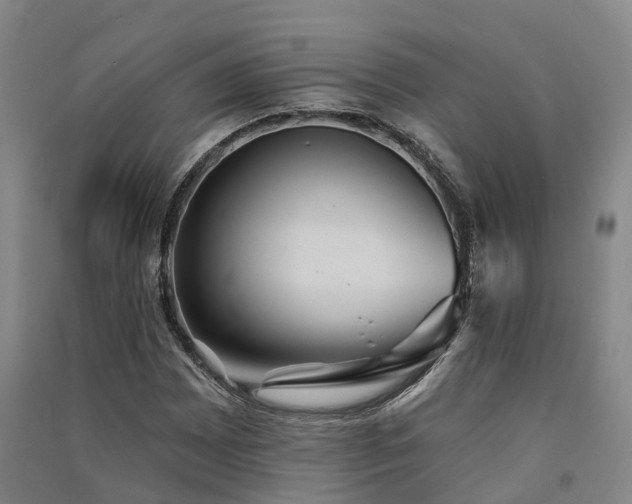 X0000091561065200708171321