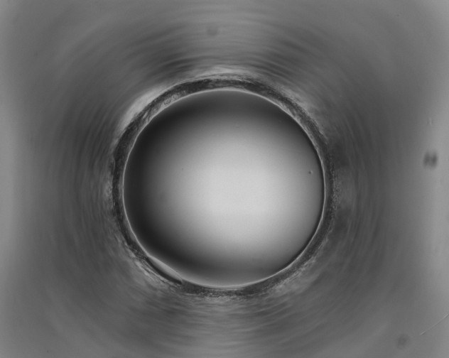 X0000091561066200708171321