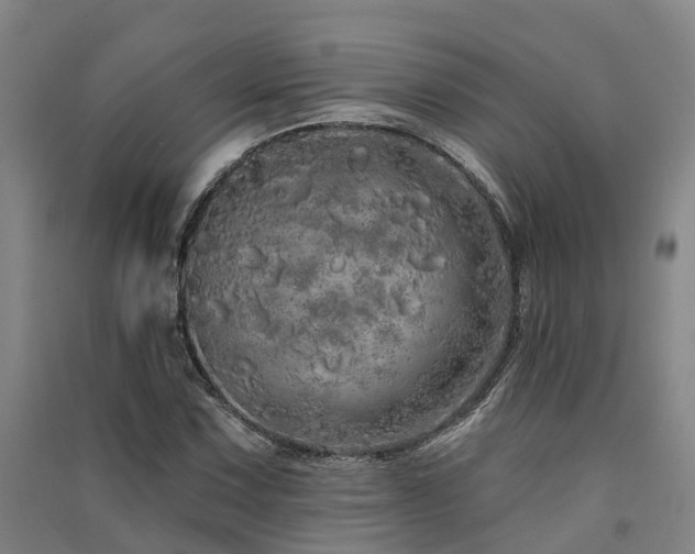 X0000091561067200708171321