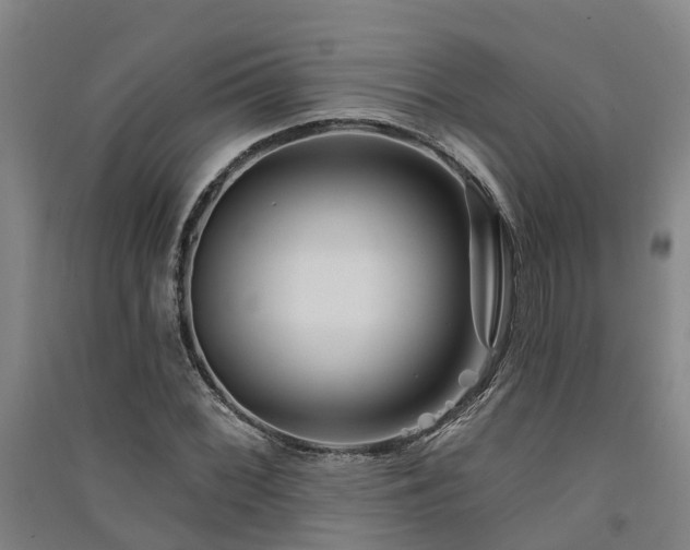 X0000091561068200708171321