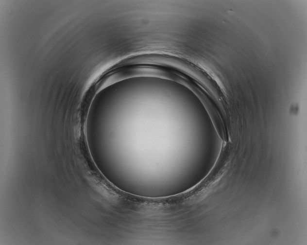 X0000091561069200708171321