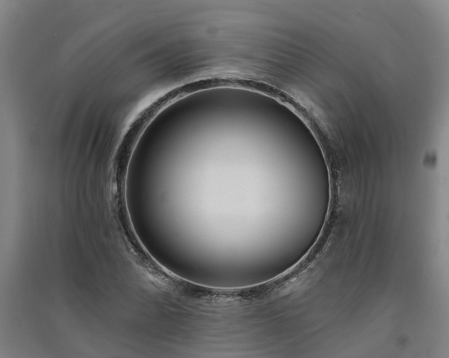 X0000091561070200708171321