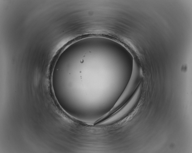 X0000091561071200708171321