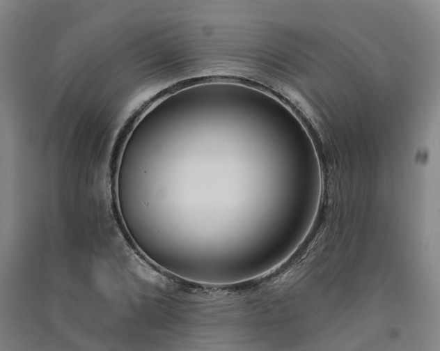 X0000091561072200708171321