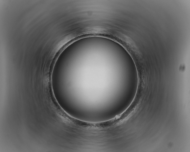 X0000091561073200708171321