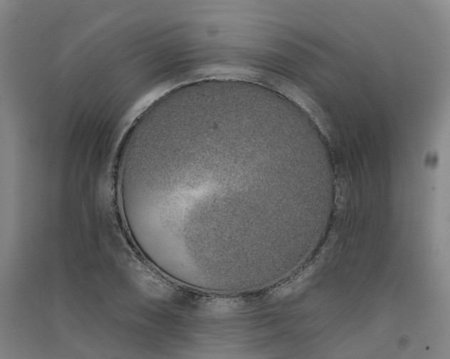 X0000091561074200708171321