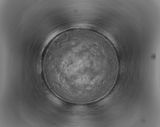 X0000091561075200708171321
