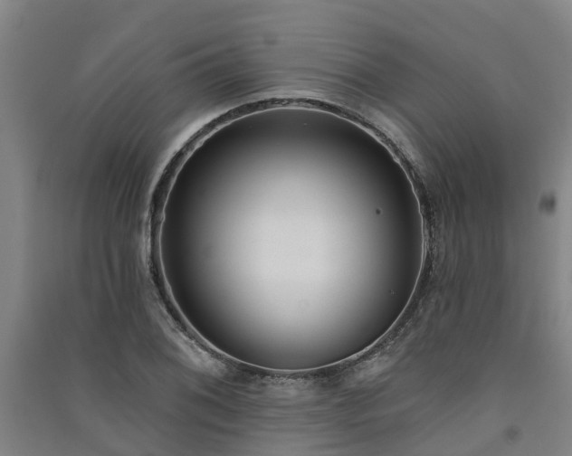 X0000091561076200708171321