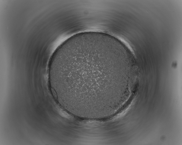 X0000091561077200708171321