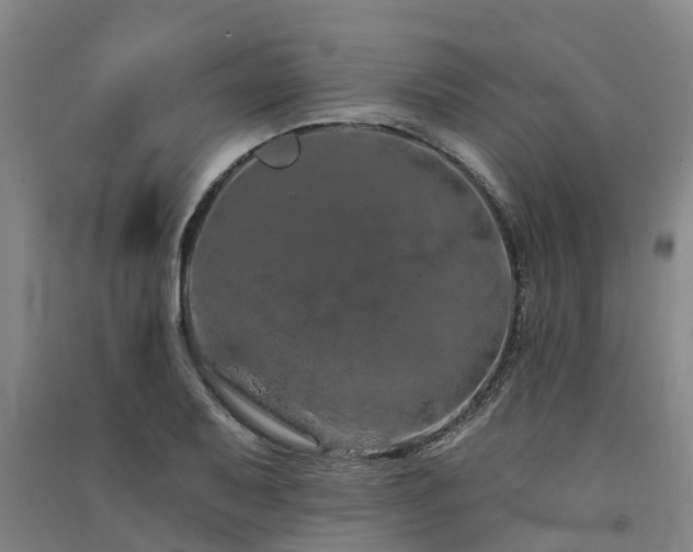 X0000091561079200708171321