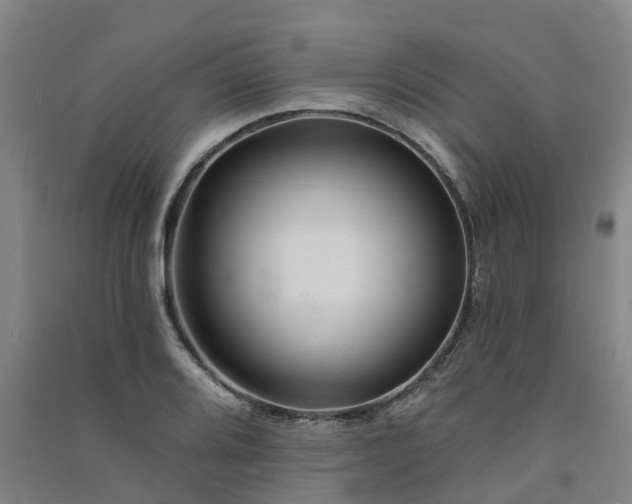 X0000091561080200708171321