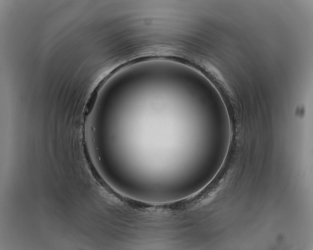 X0000091561081200708171321