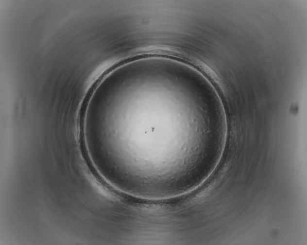 X0000091561082200708171321