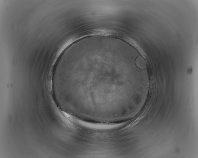 X0000091561083200708171321