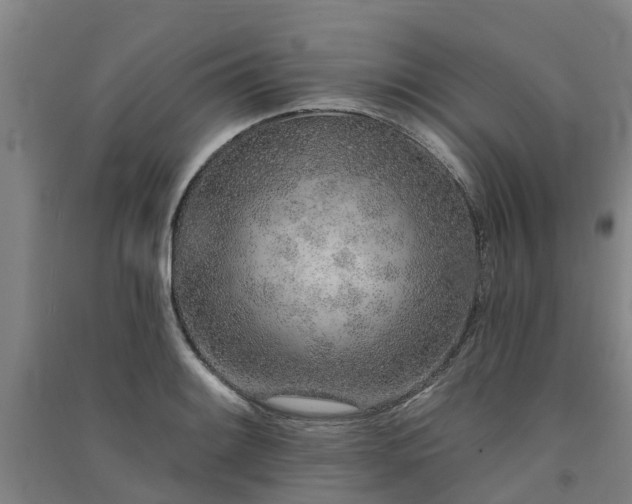 X0000091561084200708171321