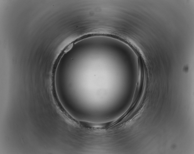 X0000091561085200708171321