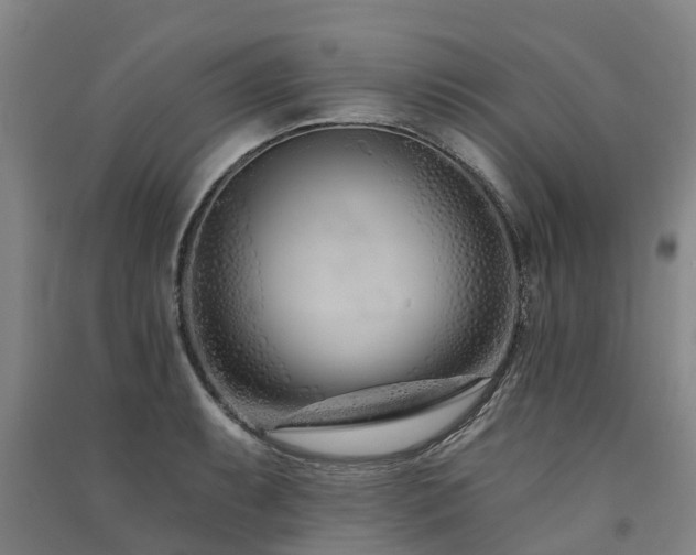 X0000091561087200708171321