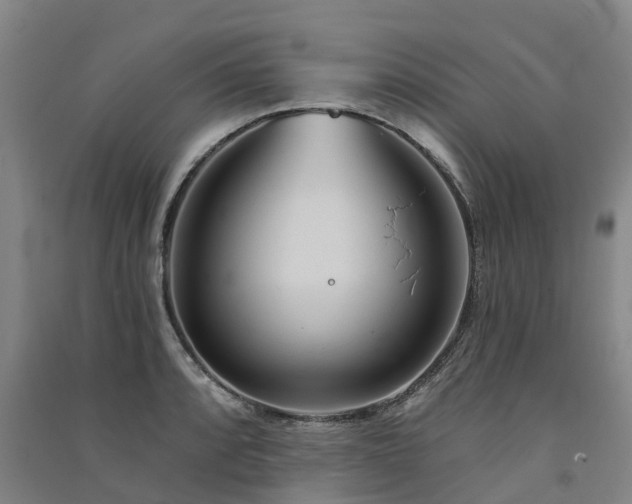 X0000091561088200708171321