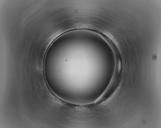 X0000091561089200708171321