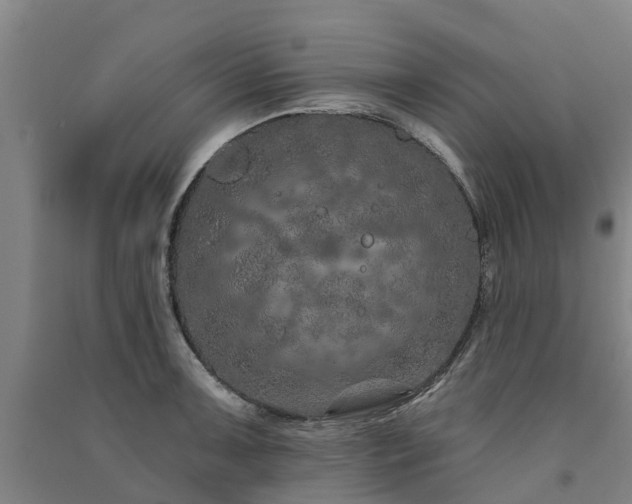 X0000091561091200708171321