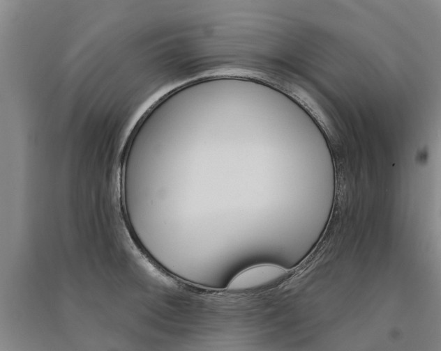 X0000091561092200708171321