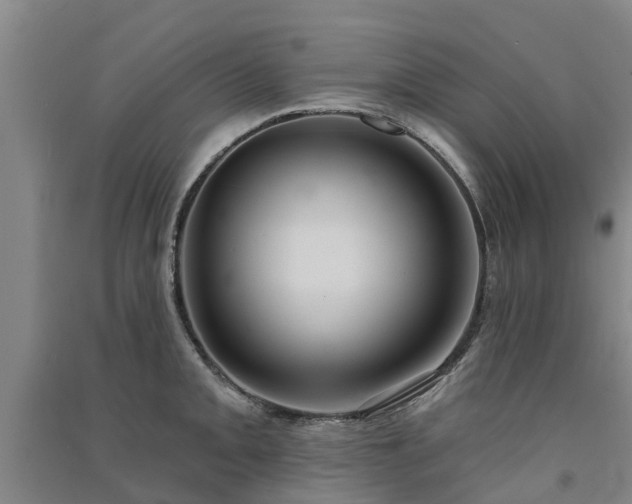 X0000091561093200708171321