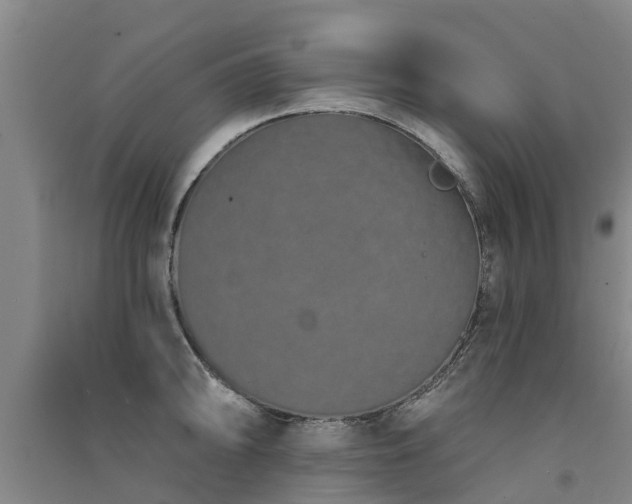 X0000091561094200708171320