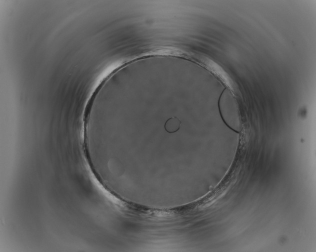 X0000091561095200708171320