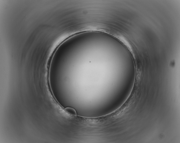 X0000091561096200708171320