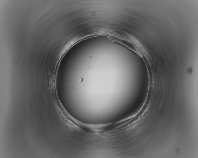 X0000091561097200708171320