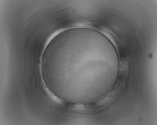 X0000091561098200708171320