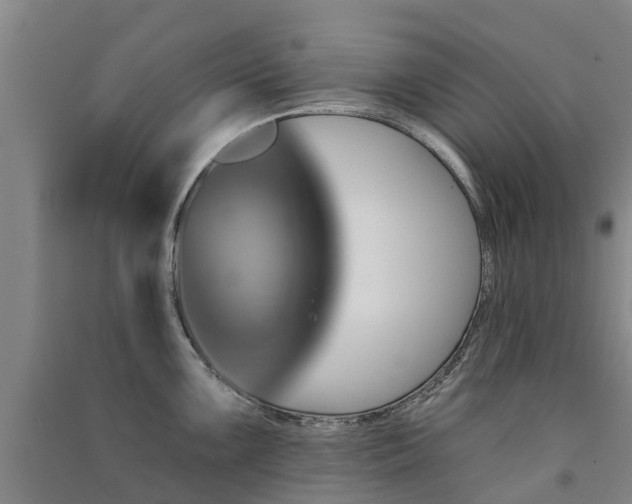 X0000091561099200708171320