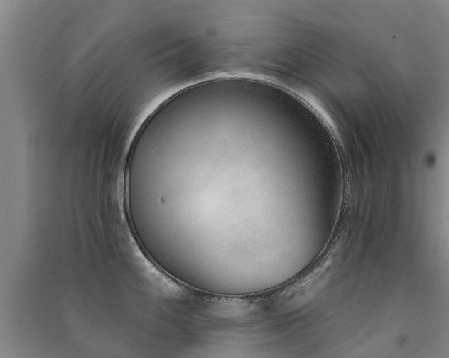 X0000091561100200708171320