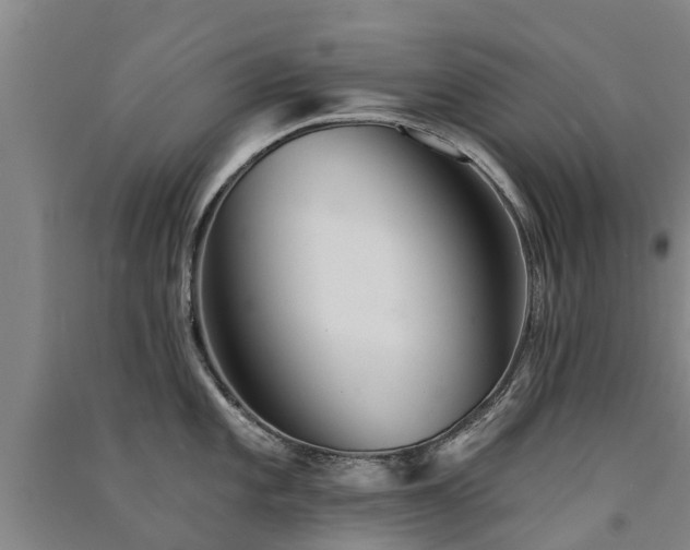 X0000091561101200708171320