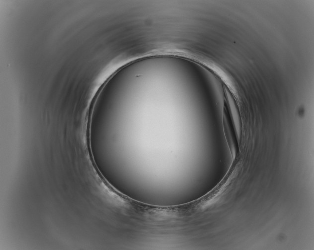 X0000091561102200708171320